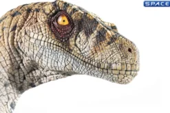 1:1 Female Velociraptor Life-Size Bust