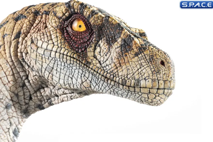 1:1 Female Velociraptor Life-Size Bust