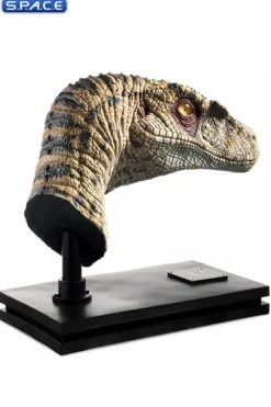 1:1 Female Velociraptor Life-Size Bust