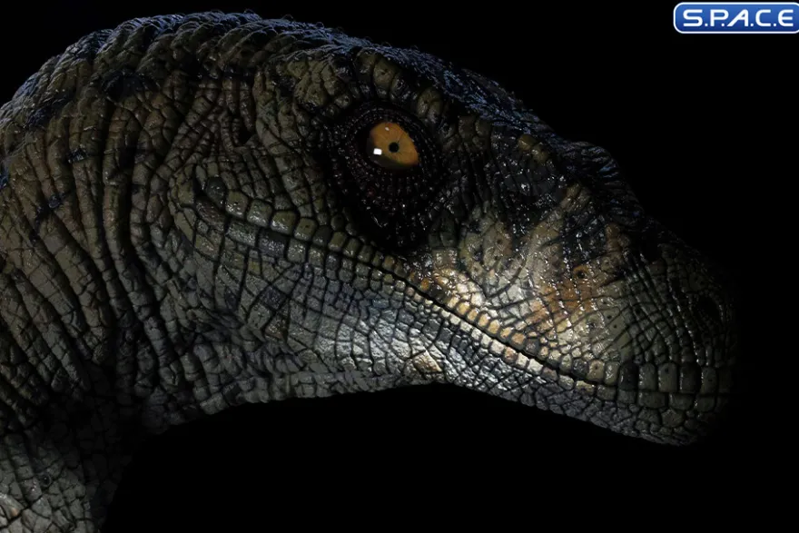 1:1 Female Velociraptor Life-Size Bust