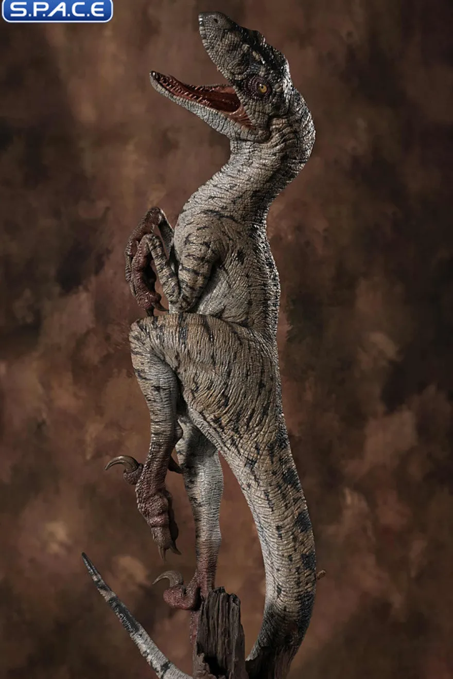 Female Velociraptor White Queen Maquette