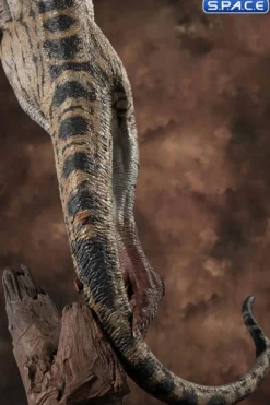 Female Velociraptor White Queen Maquette