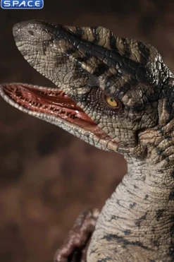 Female Velociraptor White Queen Maquette