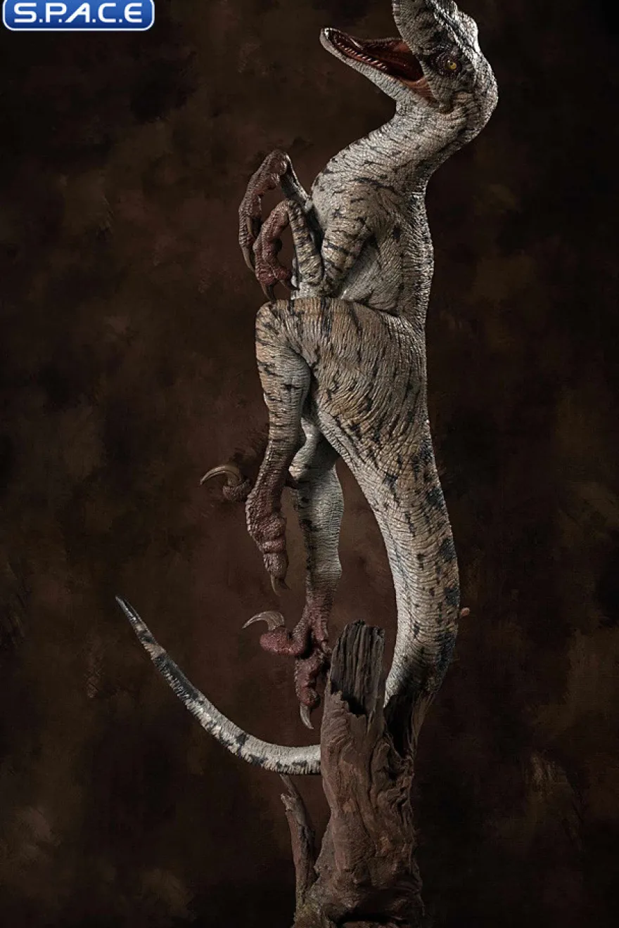 Female Velociraptor White Queen Maquette