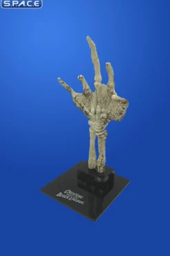 Fossilized Creature Hand Scaled Replica