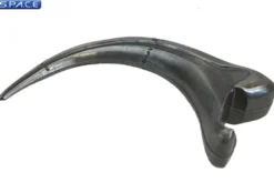 Fossil Raptor Claw