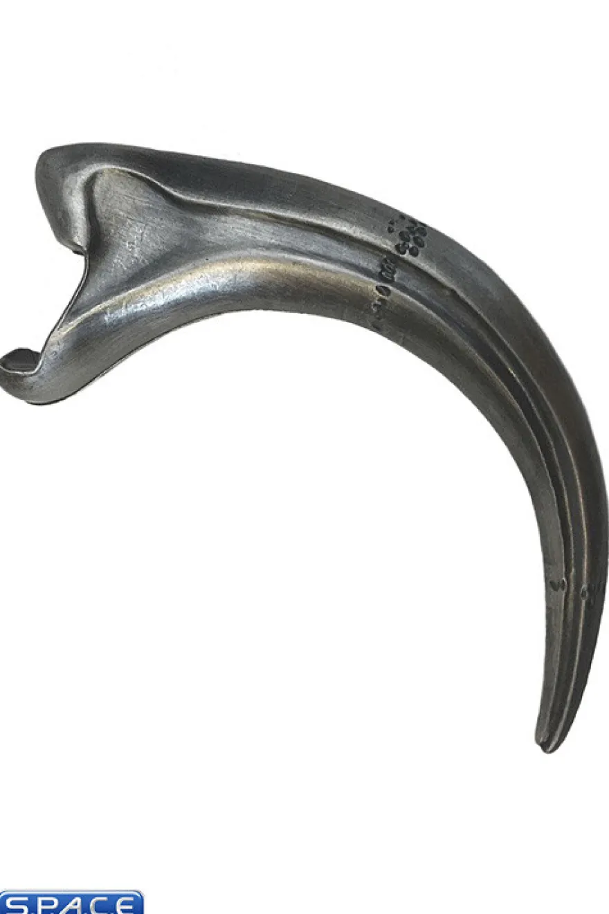 Fossil Raptor Claw