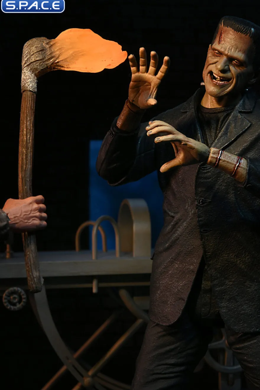 Frankenstein Accessory Pack
