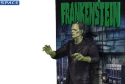 Frankenstein Movie Poster 3D