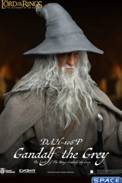 Gandalf the Grey Dynamic 8ction Heroes
