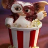 Gizmo Feast Box