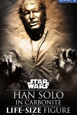 1:1 Han Solo in Carbonite