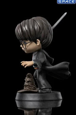 Harry Potter with Sword of Gryffindor
