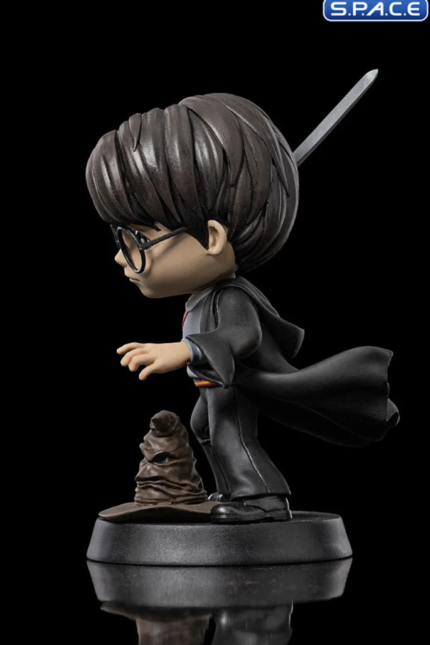 Harry Potter with Sword of Gryffindor