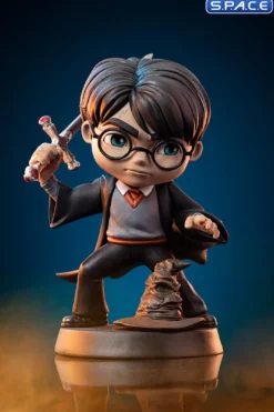 Harry Potter with Sword of Gryffindor