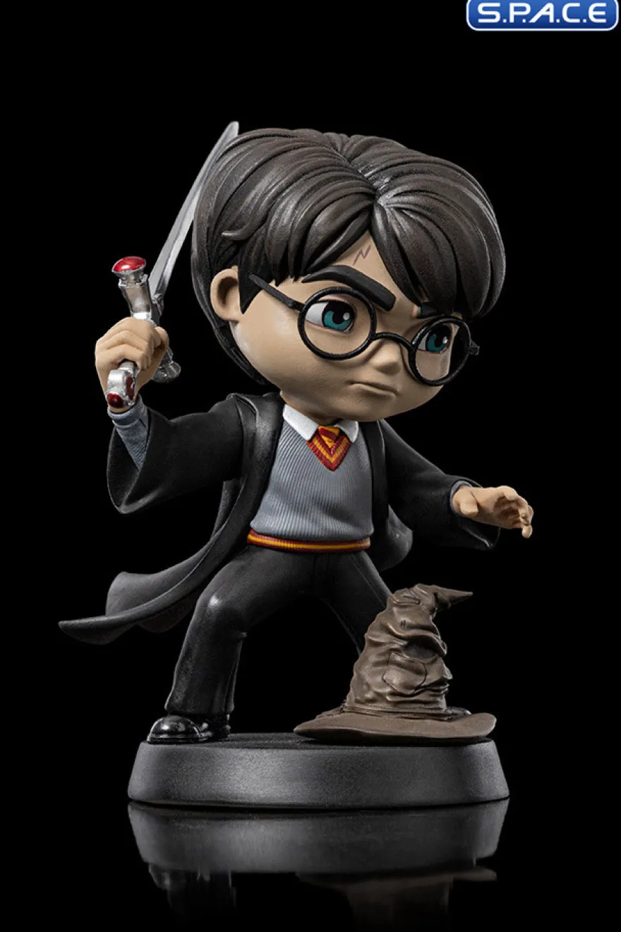 Harry Potter with Sword of Gryffindor