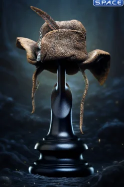 Hat of Radagast