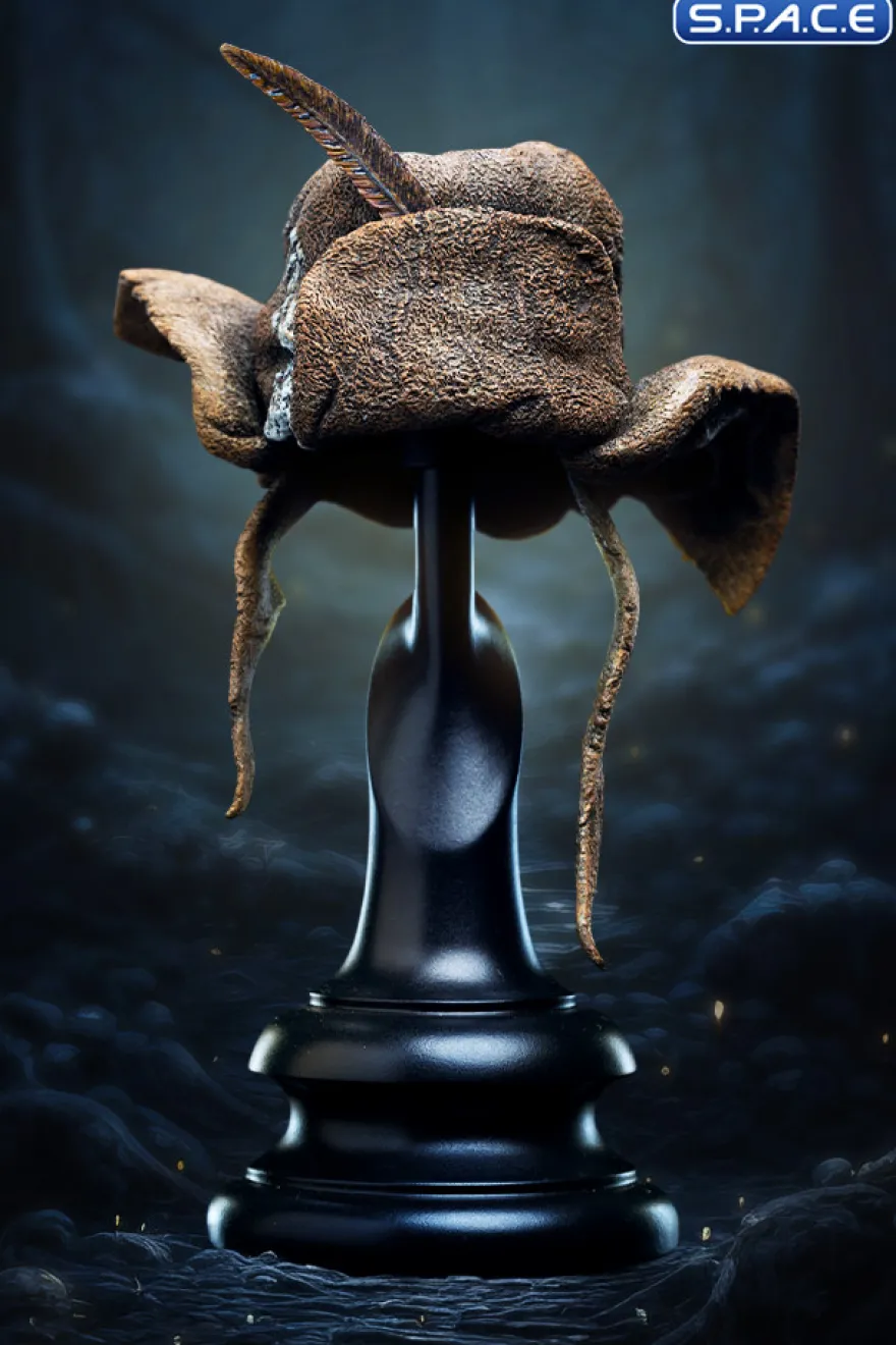 Hat of Radagast