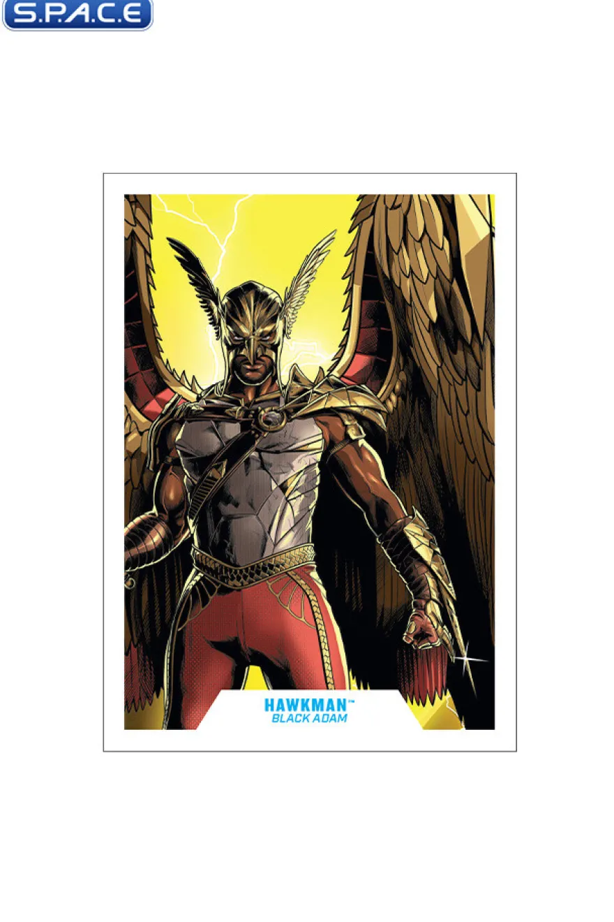 Hawkman from Black Adam Movie