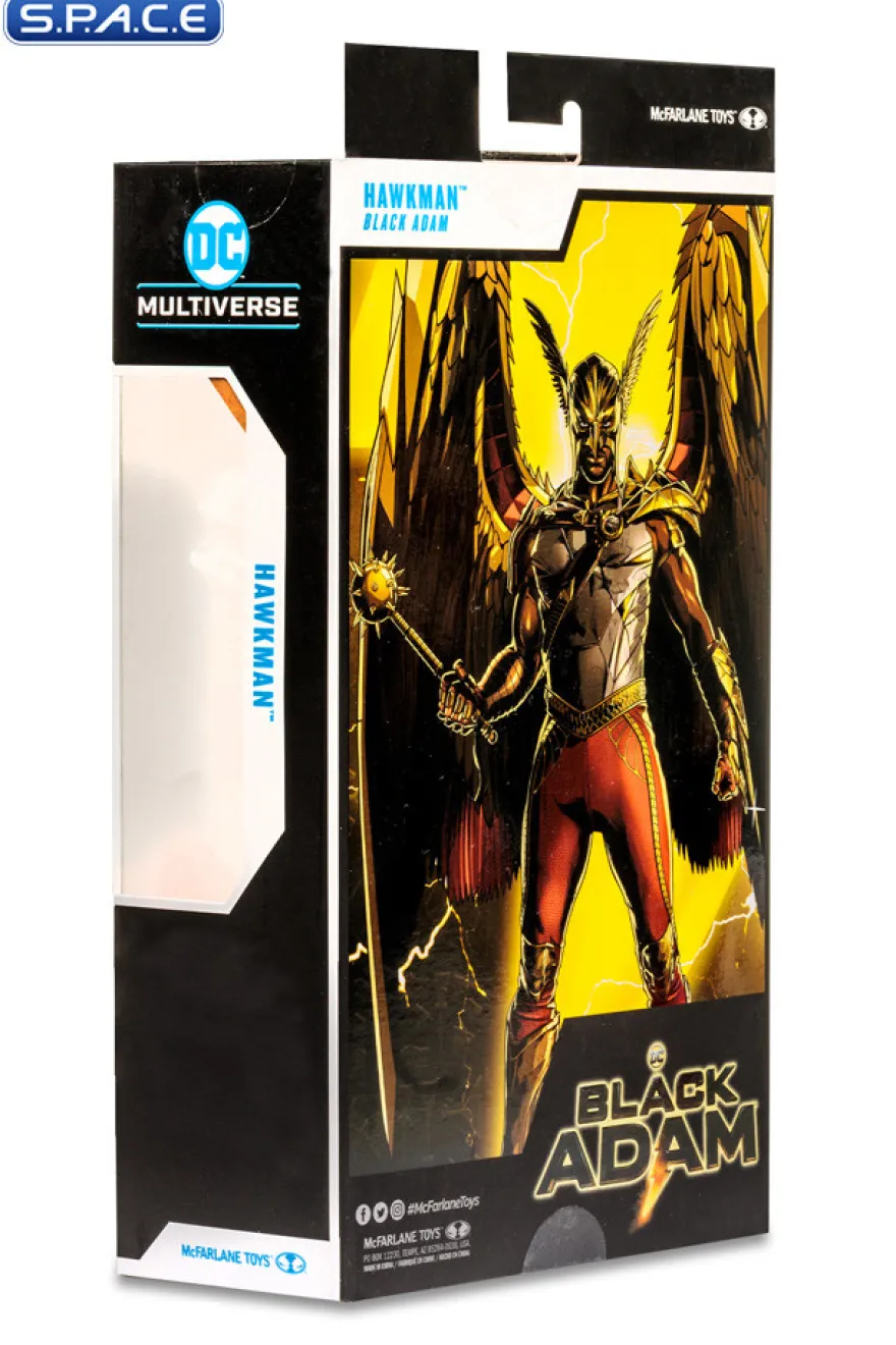 Hawkman from Black Adam Movie