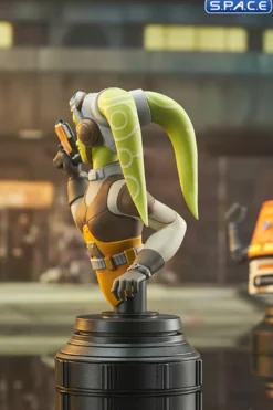 Hera and Chopper Bust Set