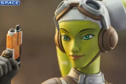 Hera and Chopper Bust Set
