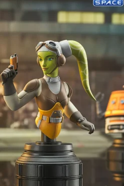 Hera and Chopper Bust Set