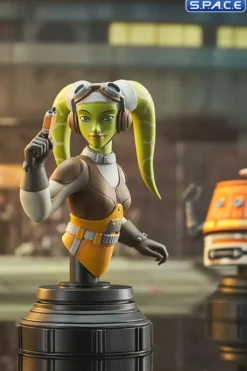 Hera and Chopper Bust Set