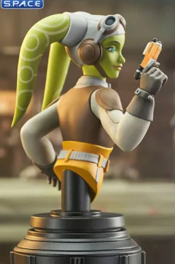 Hera and Chopper Bust Set
