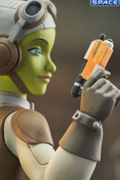 Hera and Chopper Bust Set