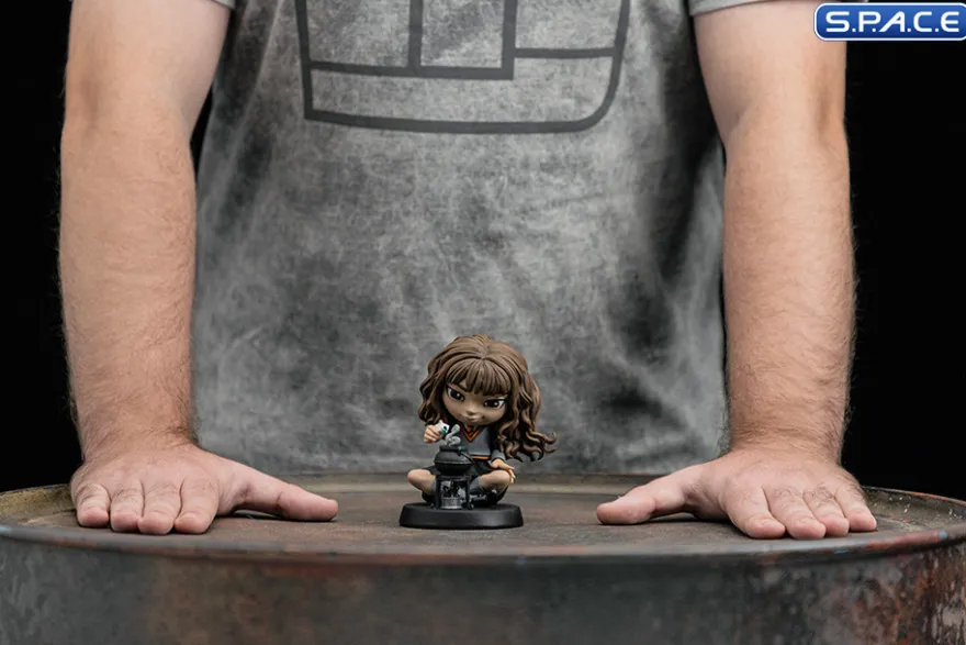 Hermione Granger Polyjuice MiniCo. Vinyl Figure