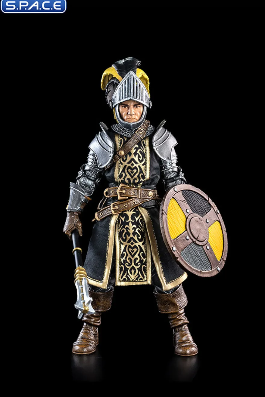 Heroic Paladin/Cleric