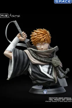 Ichigo Kurosaki My Ultimate Bust