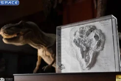 Isla Nublar Topographic 3D Map