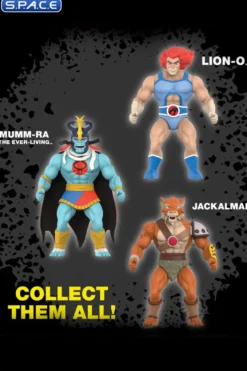 Jackalman Vintage
