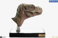 1:1 Junior T-Rex Life-Size Bust