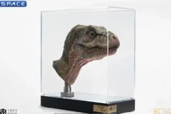 1:1 Junior T-Rex Life-Size Bust