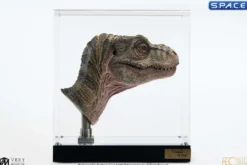1:1 Junior T-Rex Life-Size Bust