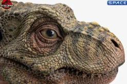 1:1 Junior T-Rex Life-Size Bust