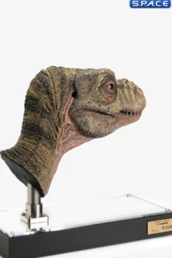 1:1 Junior T-Rex Life-Size Bust