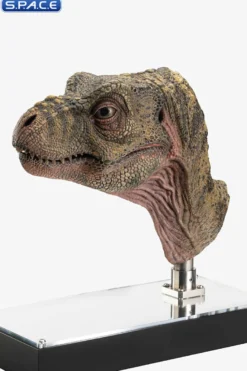 1:1 Junior T-Rex Life-Size Bust