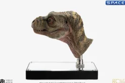 1:1 Junior T-Rex Life-Size Bust