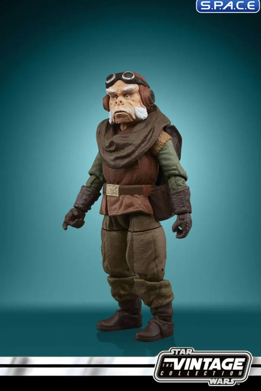 Kuiil from The Mandalorian