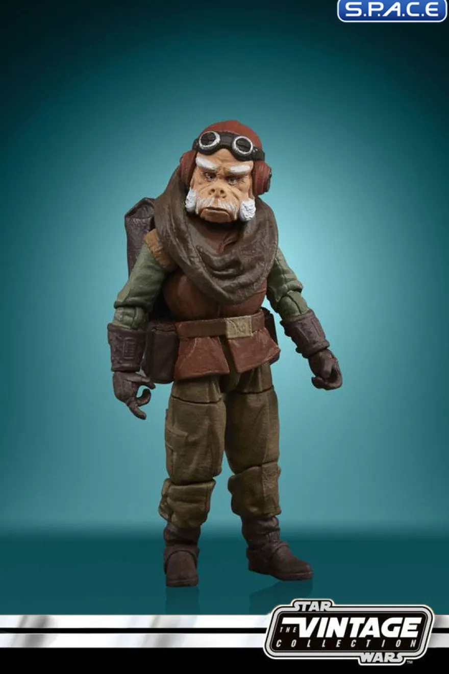 Kuiil from The Mandalorian