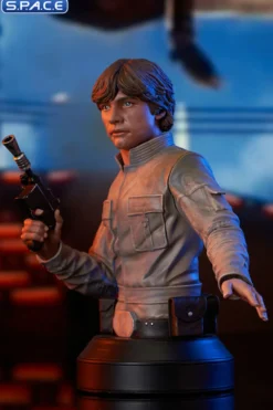 Luke Skywalker Bespin Bust