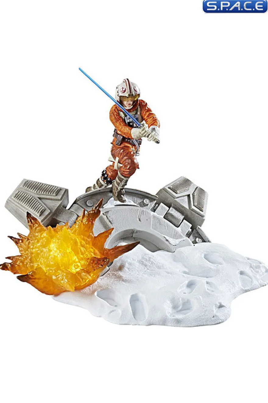 Luke Skywalker Centerpiece Diorama