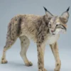 Lynx Statue - Version A
