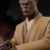 Mace Windu Bust