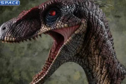 1:1 Male Alpha Velociraptor Blood Knight