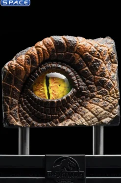 1:1 Male Velociraptor Eye Life-Size Replica